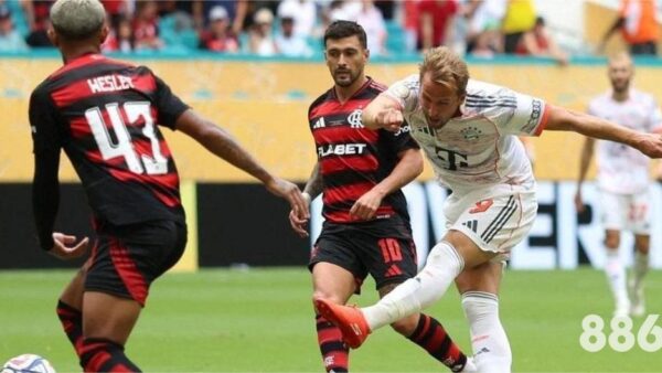 宝鸡体育场张韶涵333：这项数据透露了2026世界杯的玄机