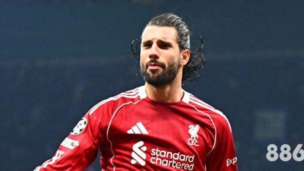 深入探讨万博体育老板如何影响2026FIFA世界杯